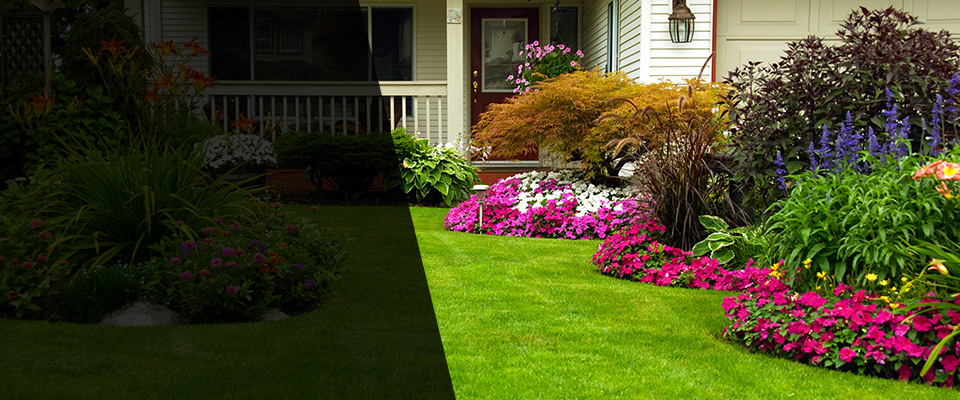 Selma Landscapers