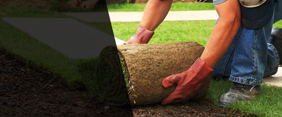 Selma Landscapers